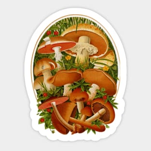 Vintage Mushrooms Sticker